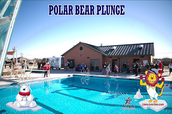 20190105PolarBearB-1717