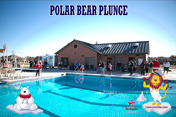 20190105PolarBearB-1718
