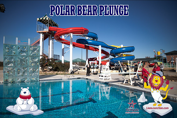 20190105PolarBearB-1719