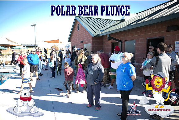 20190105PolarBearB-1727