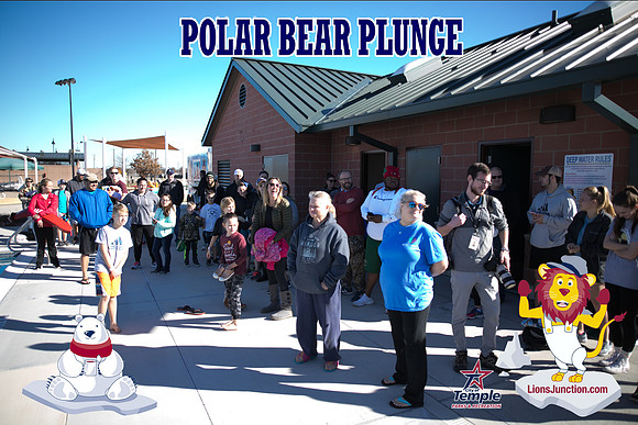 20190105PolarBearB-1728
