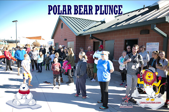 20190105PolarBearB-1729