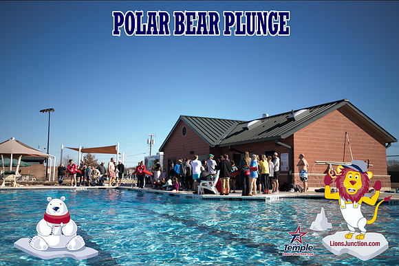 20190105PolarBearB-1735