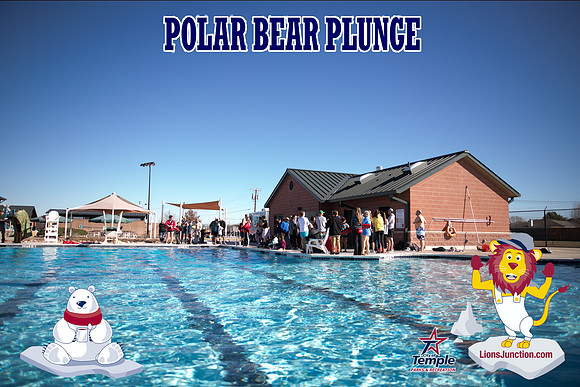 20190105PolarBearB-1737