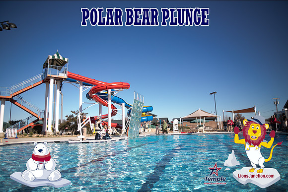 20190105PolarBearB-1738
