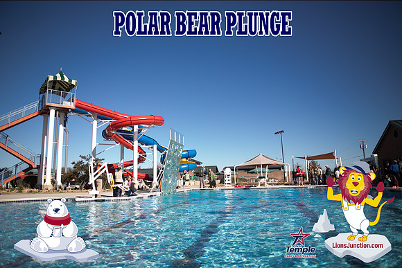 20190105PolarBearB-1739