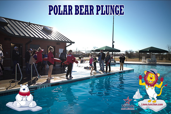 20190105PolarBearB-1754