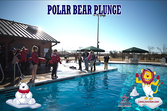 20190105PolarBearB-1755