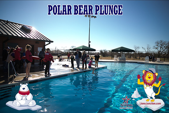 20190105PolarBearB-1756