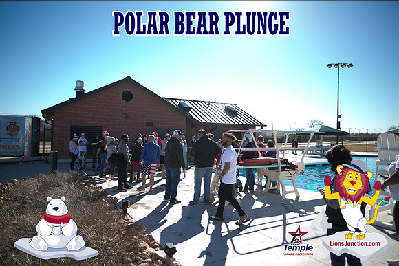20190105PolarBearB-1763