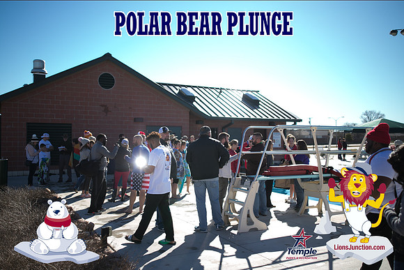 20190105PolarBearB-1764