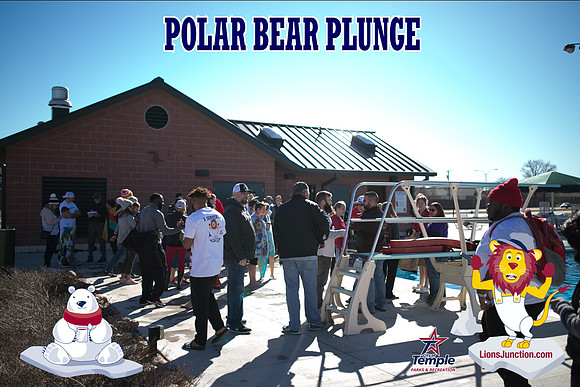 20190105PolarBearB-1765