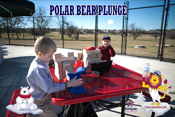 20190105PolarBearB-1773