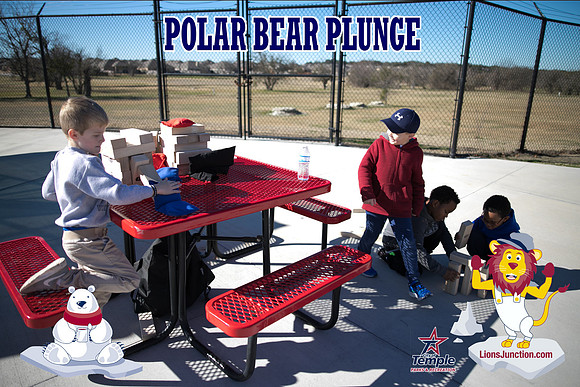 20190105PolarBearB-1776