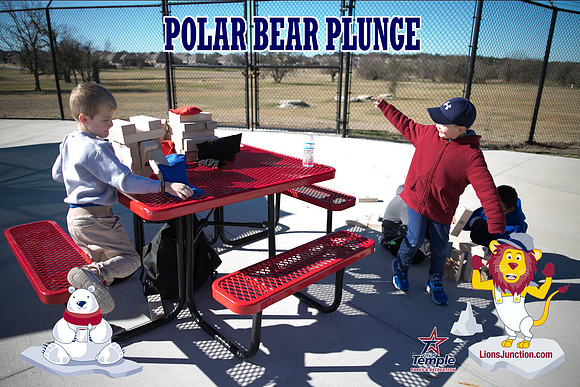 20190105PolarBearB-1777