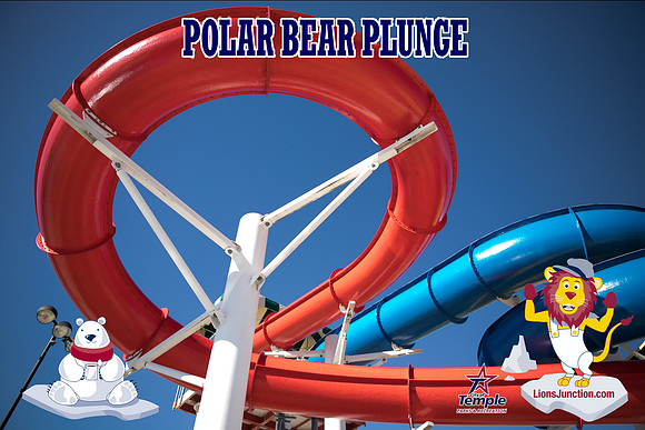 20190105PolarBearB-1778
