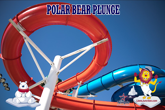20190105PolarBearB-1779