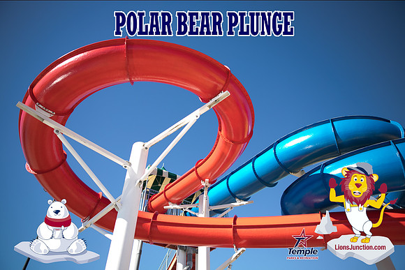 20190105PolarBearB-1780