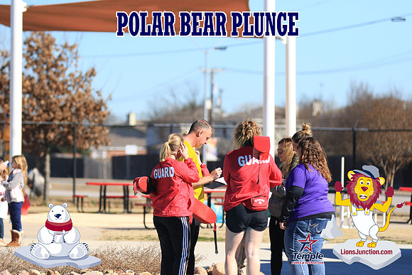 20190105PolarBearB-4535