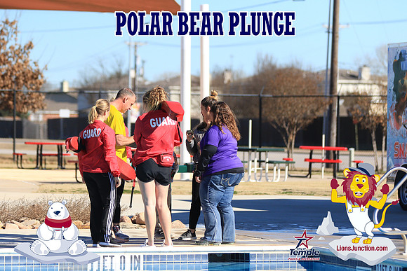 20190105PolarBearB-4537