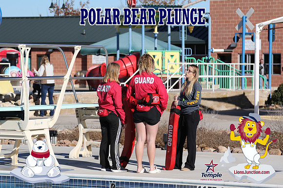 20190105PolarBearD-6442