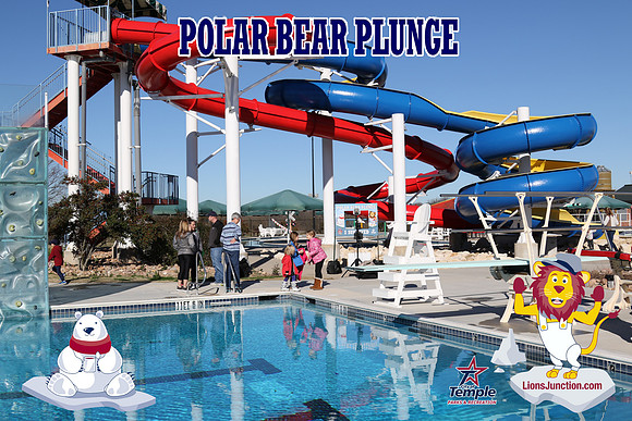 20190105PolarBearD-6445