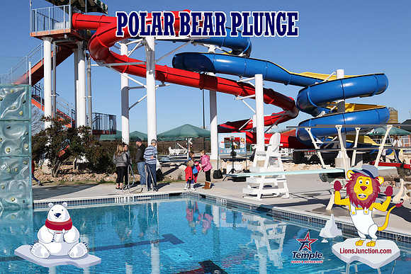 20190105PolarBearD-6446