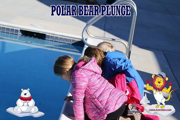 20190105PolarBearD-6447