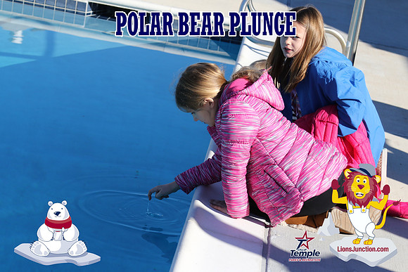 20190105PolarBearD-6449
