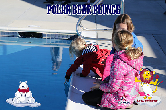 20190105PolarBearD-6450
