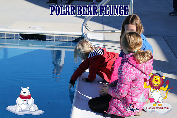 20190105PolarBearD-6451