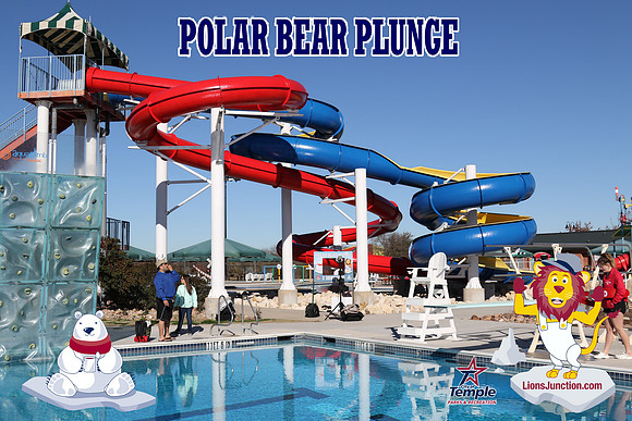20190105PolarBearD-6452