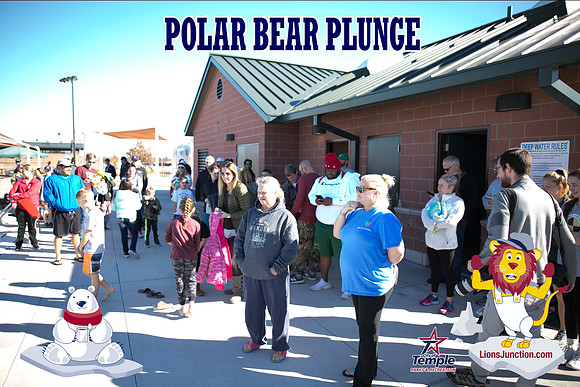 20190105PolarBearB-1725
