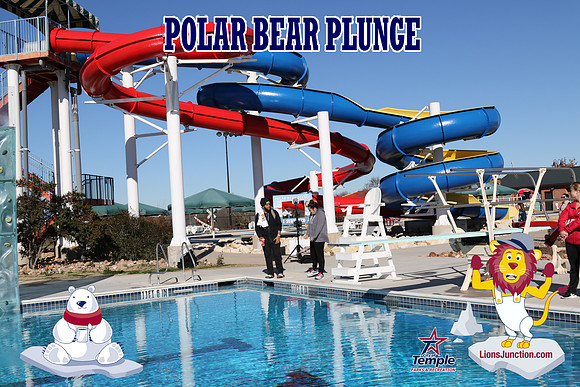 20190105PolarBearD-6463