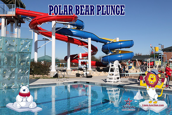 20190105PolarBearD-6465