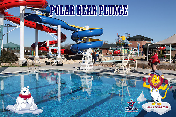 20190105PolarBearD-6467