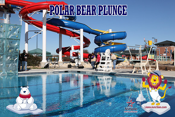 20190105PolarBearD-6468