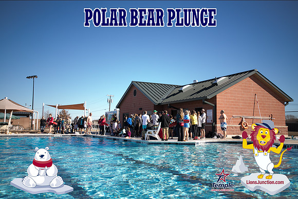 20190105PolarBearB-1736