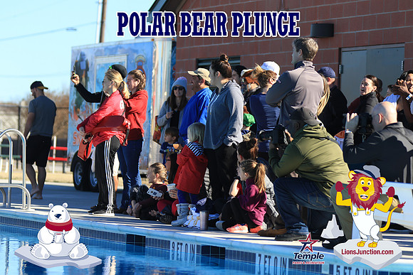 20190105PolarBearA-3922