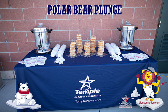 20190105PolarBearB-1682