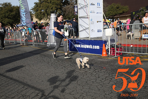 20190223DipDashE-5439