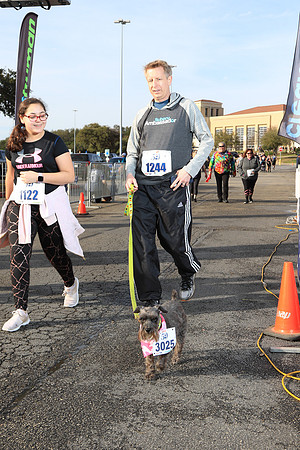 20190223DipDashD-0387