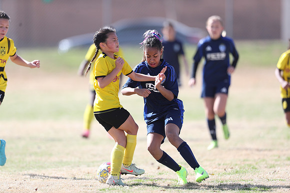 20250315StingAustingG14TigerCupG1-20397