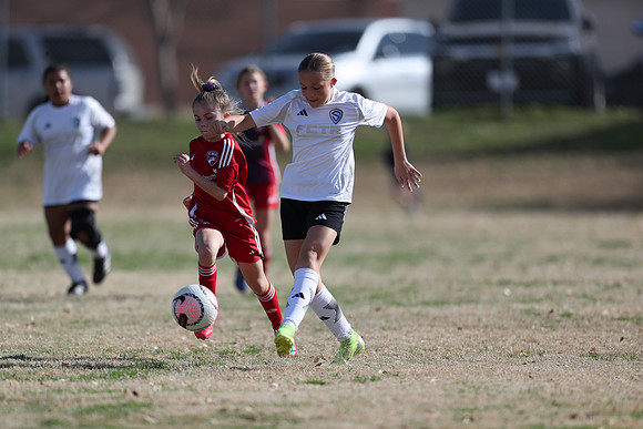20250315StingAustingG14TigerCupG2-20083