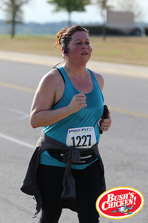 20190323SpringChickA-6315