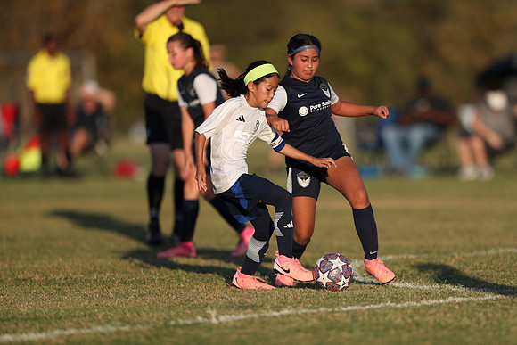 20241027StingG14G8Win-7282