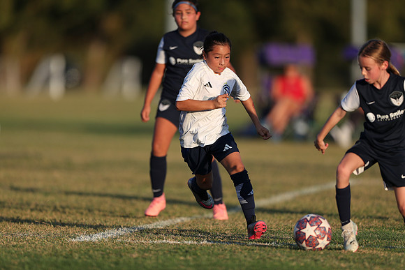 20241027StingG14G8Win-7334
