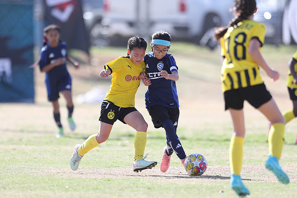 20250315StingAustingG14TigerCupG1-20276