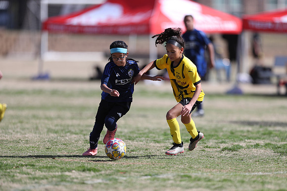 20250315StingAustingG14TigerCupG1-20722
