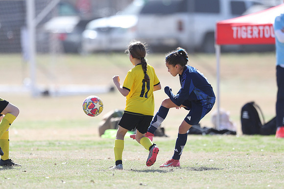 20250315StingAustingG14TigerCupG1-20594